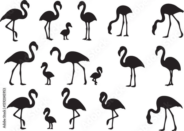 Obraz Flamingos standing and feeding silhouettes bird birds