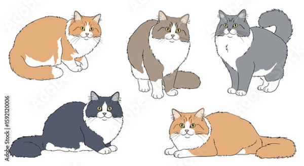 Fototapeta Group of five illustrated ragamuffin cats in various poses 