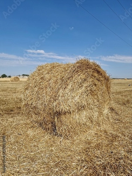 Fototapeta Round haystack in a field against a blue sky