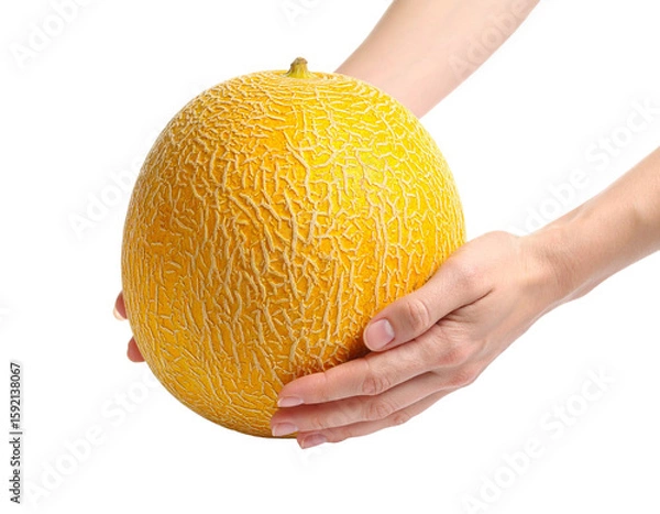 Fototapeta Whole melon held in hand isolated on transparent background