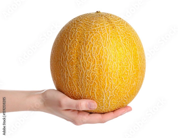 Fototapeta Whole melon held in hand isolated on transparent background