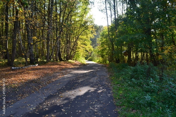Fototapeta Дорога в парке