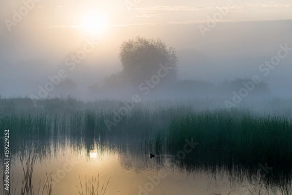 Obraz Wschód słońca nad jeziorem 