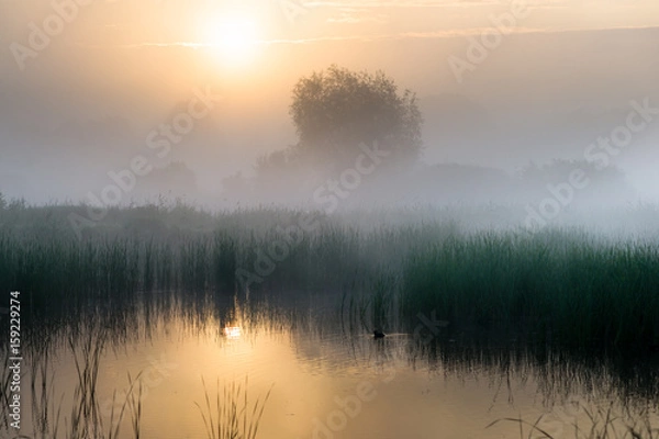 Obraz Świt nad wodą