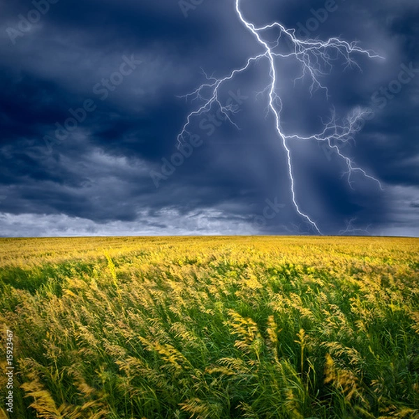 Obraz lightning flashes