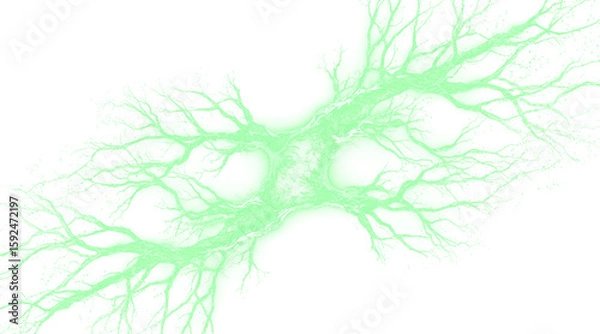 Fototapeta Abstract Neural Network Simulation of Biological Processes and Data Connections Isolated on a transparent background