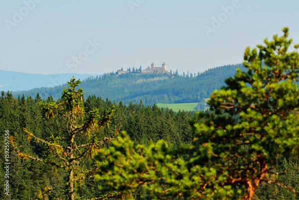 Fototapeta View through Tree Crowns to Ancient Czech Castle on Hill Top