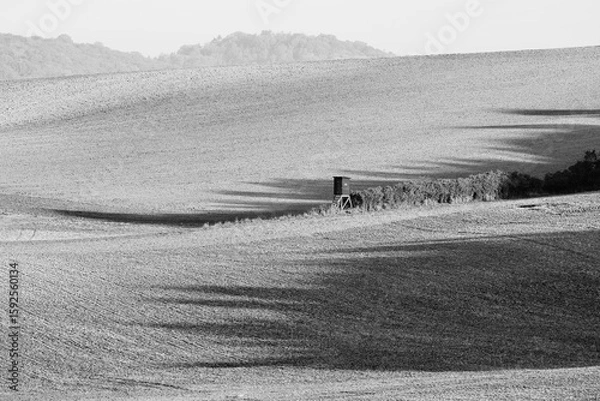 Fototapeta Black White Layers of Fields with Trees Shadows and Hunting Tower