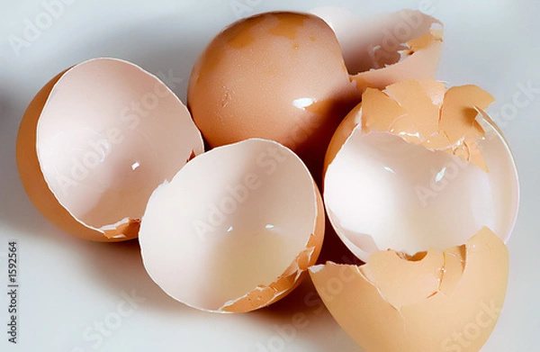 Obraz empty egg shells
