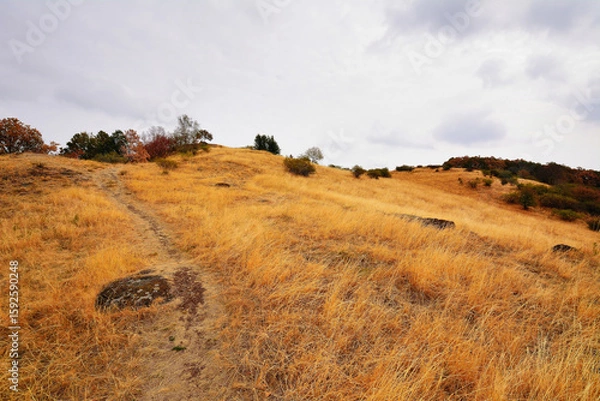 Fototapeta Dry Drought Climate Change Scorched Brown Grassland under Cloudy Sky
