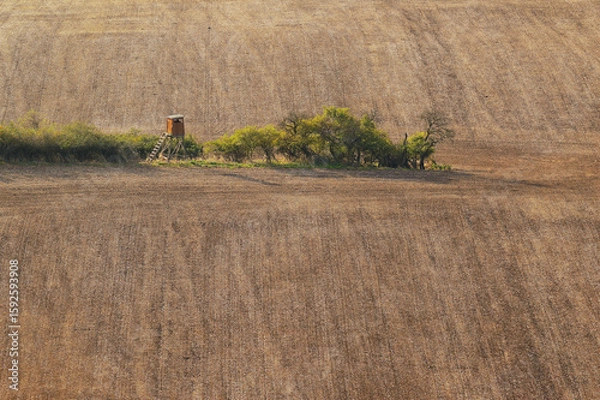 Fototapeta Geometric Field Lines and Isolated Hunting Tower in Czech Countryside