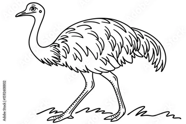 Fototapeta coloring page line art the rhea black vector