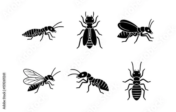 Fototapeta A variety of illustrated termites, showing different forms and poses. This black and white image depicts the diverse appearance of termites