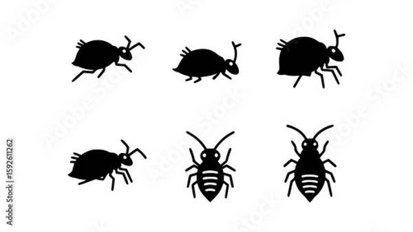 Fototapeta A set of springtail insect silhouette illustrations in black and white