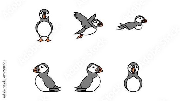 Fototapeta A series of puffin birds in different poses against a clean backdrop