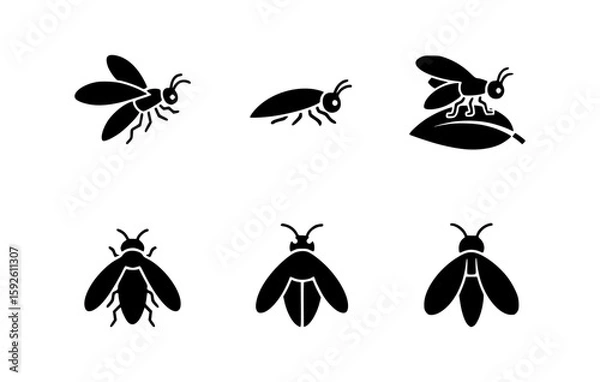 Fototapeta Set of fireflies insect glyphs in black color with several kind of angle. A great image to learn insect