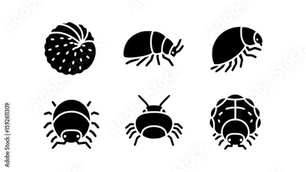 Fototapeta Assortment of Six pill bug Insect Silhouettes in a minimalist style