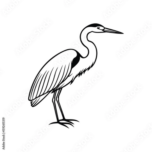 Fototapeta A heron line art silhouette vector illustration on white background