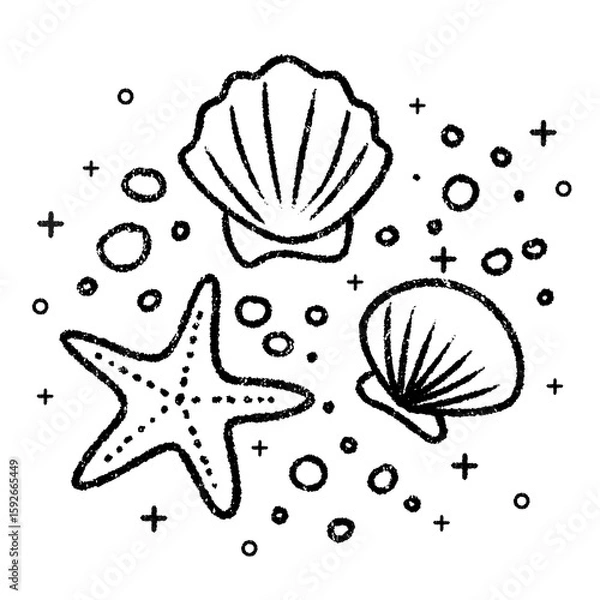 Fototapeta Hand-drawn starfish and seashells with bubbles in playful black and white doodle style