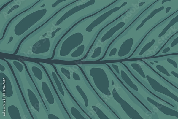 Obraz philodendron leaf texture vector wallpaper