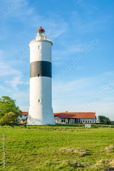 Fototapeta The tall lighthouse Long Jan on the island Oland in Sweden, seen with surrounding landscape and buildings on a fine sunny evening.