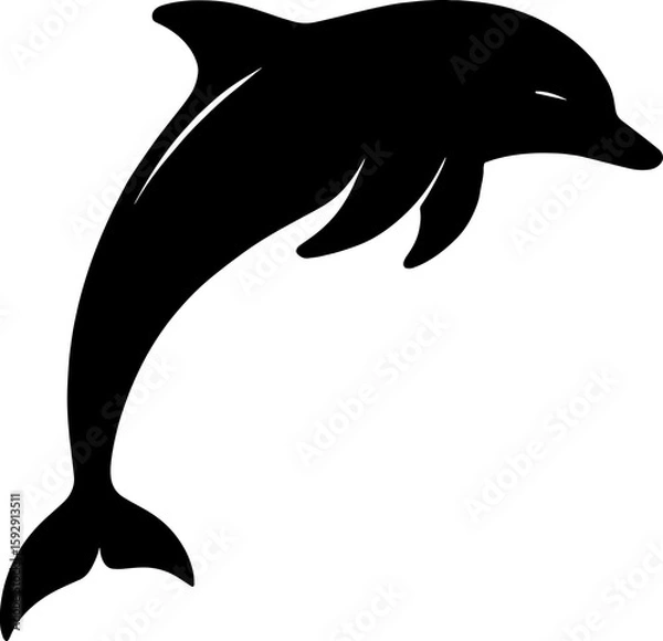 Fototapeta Dolphin Silhouette Jumping Animal Vector Art Black Illustration Ocean Design