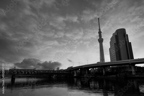 Fototapeta 隅田川から望むスカイツリー