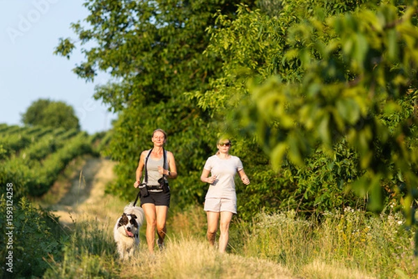 Fototapeta two women friends running in nature