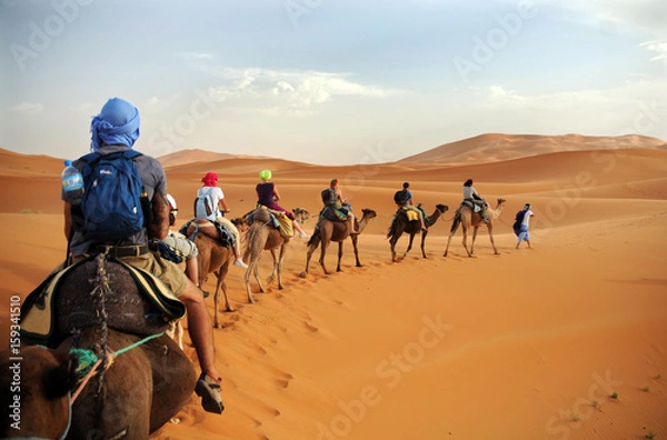 Fototapeta Caravan going through the sand dunes in the Sahara Desert, Morocco - Merzuga - tourist visit the desert  on camels during the holidays - adventure and freedom during a trip , safari - organized travel
