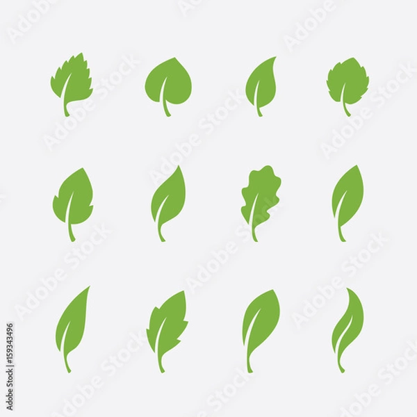 Fototapeta Leaf icons set on white background