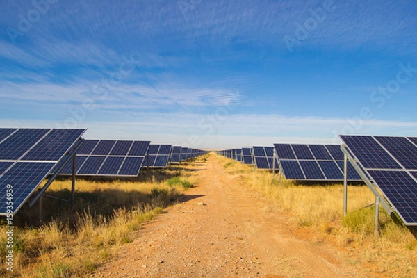 Obraz Solar panel row's