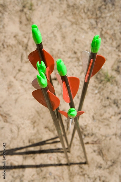 Obraz Archery bow arrows closeup on sand
