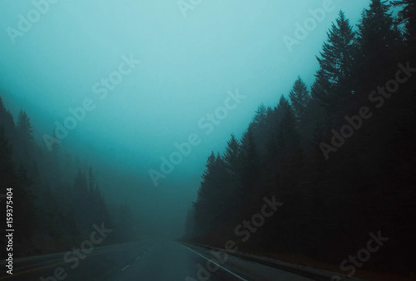 Obraz Misty Mountains