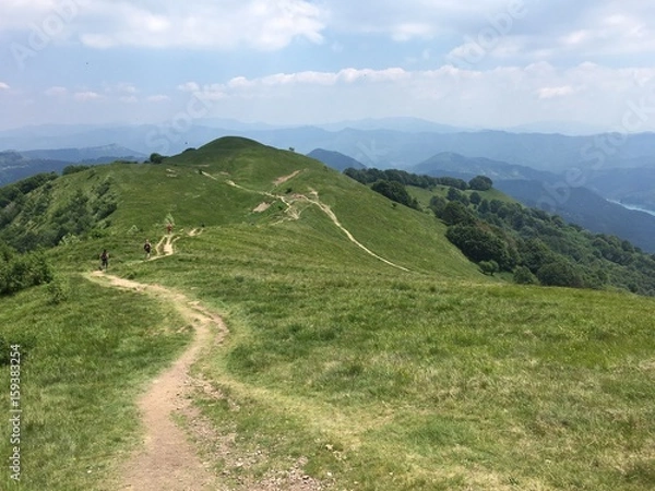 Obraz sentiero nel verde