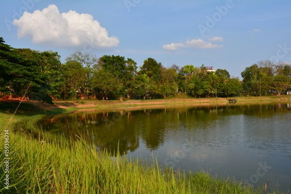 Obraz Lake side at the park