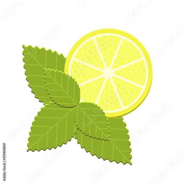 Obraz Vector mint and lemon