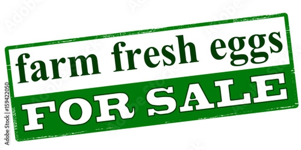 Fototapeta Farm fresh eggs for sale
