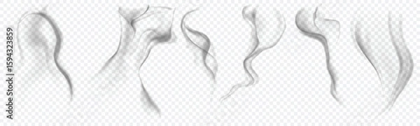 Fototapeta Thin Smoke Swirl Vector on Transparent Background