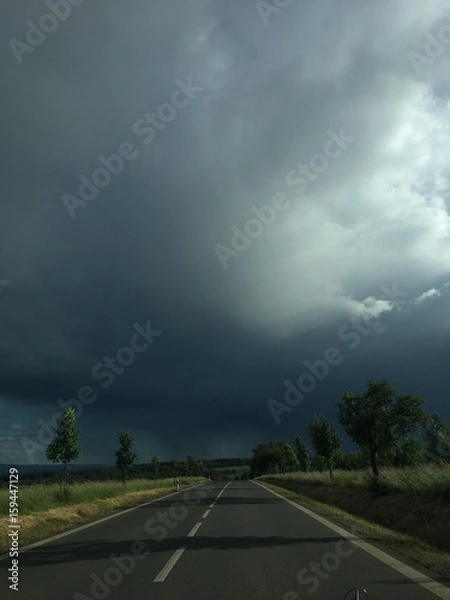 Obraz into the storm