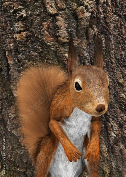 Fototapeta 3D Rendering European Red Squirrel