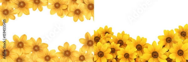 Obraz Set of a Yellow daisies border a frame, isolated on transparent background. 