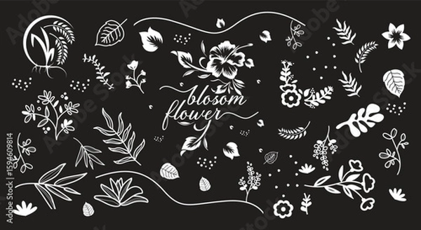 Fototapeta Flowers and Leaves Design Elements