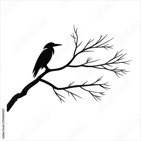 Fototapeta A black crow perched on a bare branch silhouette against white space