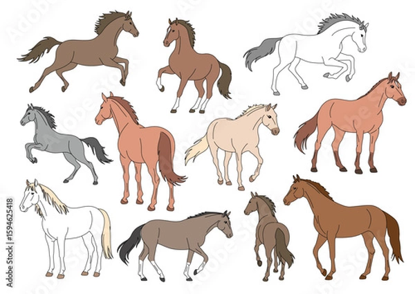 Fototapeta 馬のイラストセットカラー