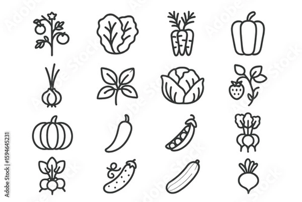 Fototapeta Outline icons of various vegetables on dark background