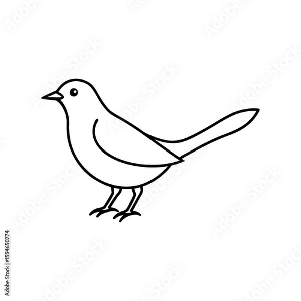 Fototapeta A nyssa line art vector illustration.