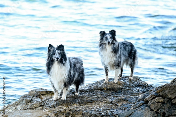 Fototapeta HRV, Kroatien, Brac, Insel in Dalmatien, Milna
