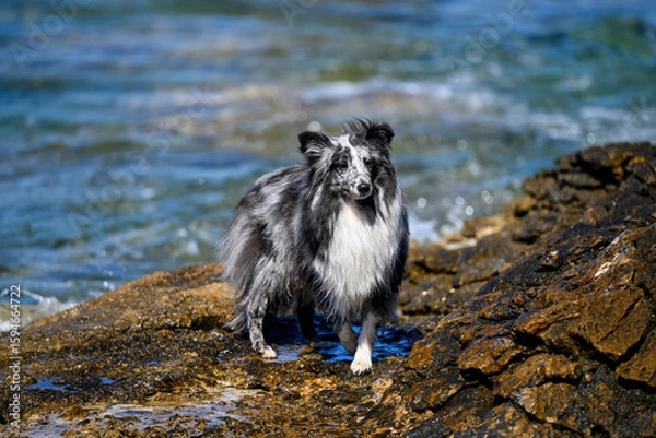 Fototapeta HRV, Kroatien, Brac, Insel in Dalmatien, Milna