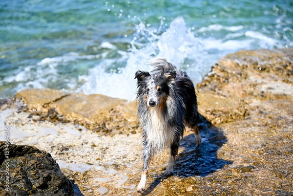 Fototapeta HRV, Kroatien, Brac, Insel in Dalmatien, Milna