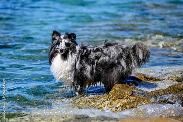 Fototapeta HRV, Kroatien, Brac, Insel in Dalmatien, Milna
